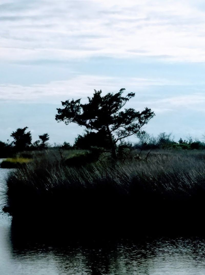 Dare County's Best-Kept Coastal Secret