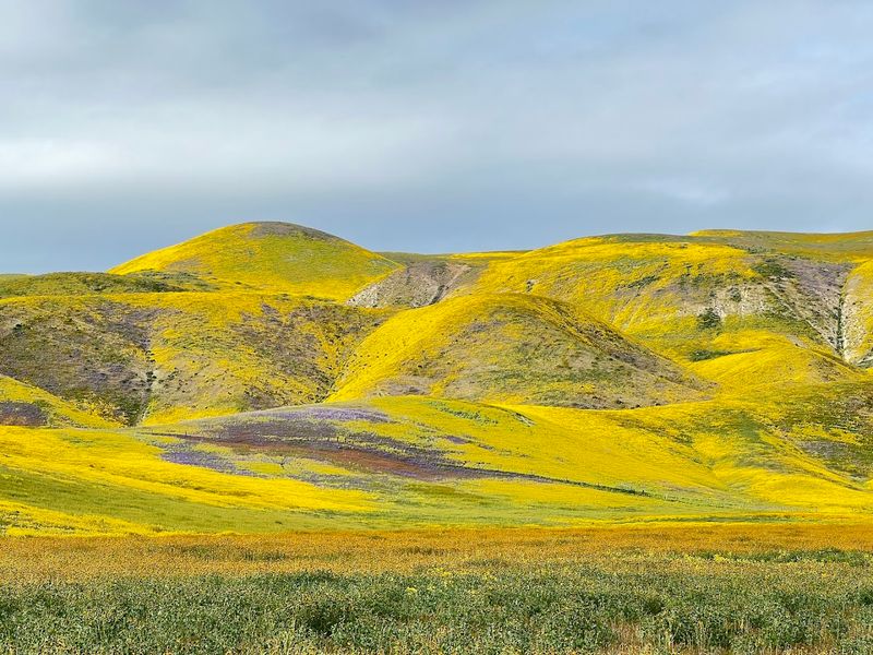 How Rainfall Shapes The Entire Experience