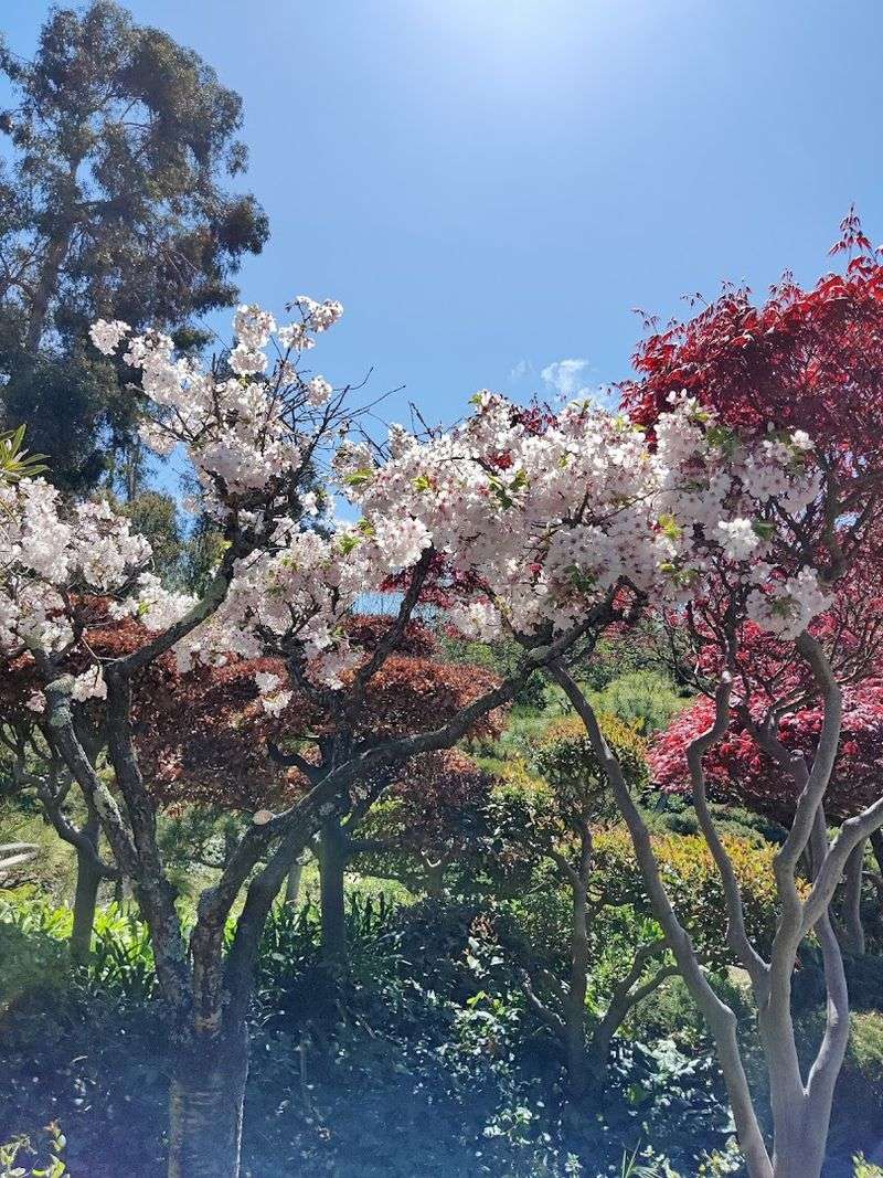 Seasonal Blooms That Change The Whole Mood