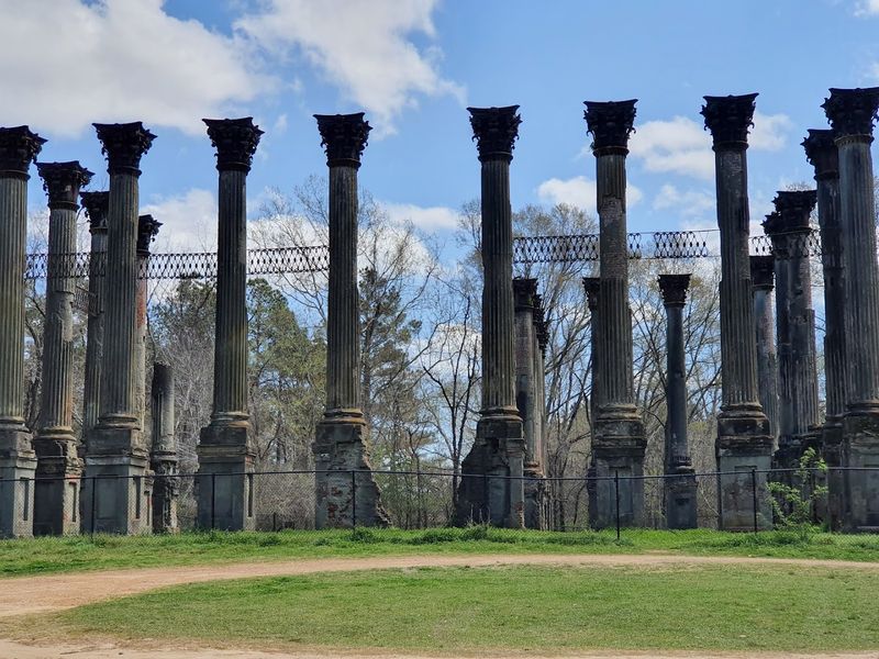 Wildlife that doesn't care about your schedule