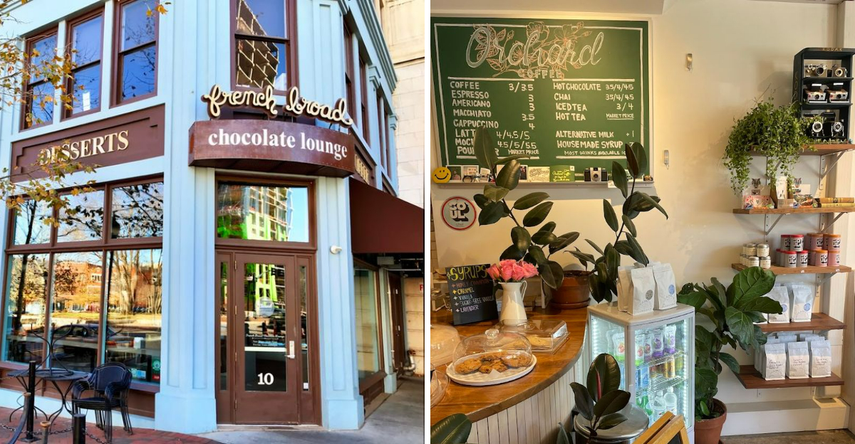 These 10 North Carolina Cafes Serve Hot Chocolate Worth Coming Back For - Decor Hint