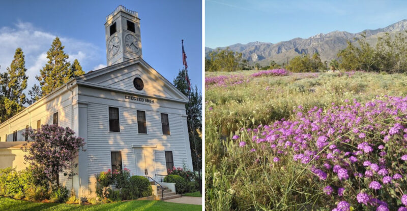 These 10 Small California Towns Are Where Wildflowers Completely Take Over The Landscape In Spring