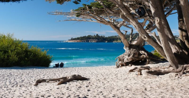 These 15 California Beach Escapes Are Perfect For A Spring Reset