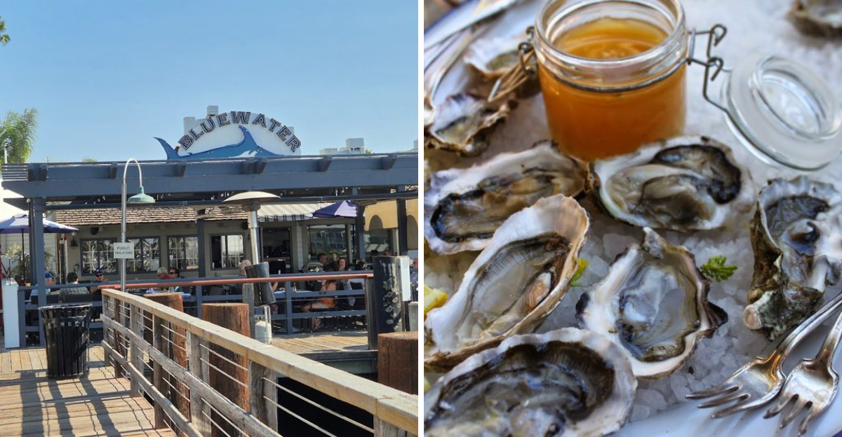 These 16 California Oyster Bars Serve Flavor That Delivers Every Time - Decor Hint