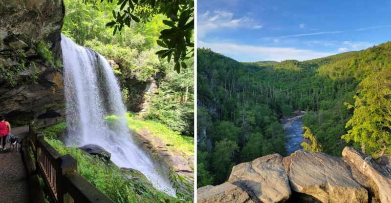 These Peaceful North Carolina Waterfall Trails Are The Perfect Escape From Busy Life