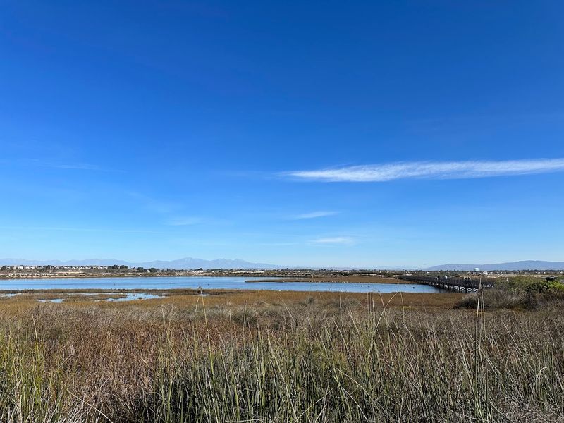 A Wetland That Covers 1,300 Acres Of Coastal Land
