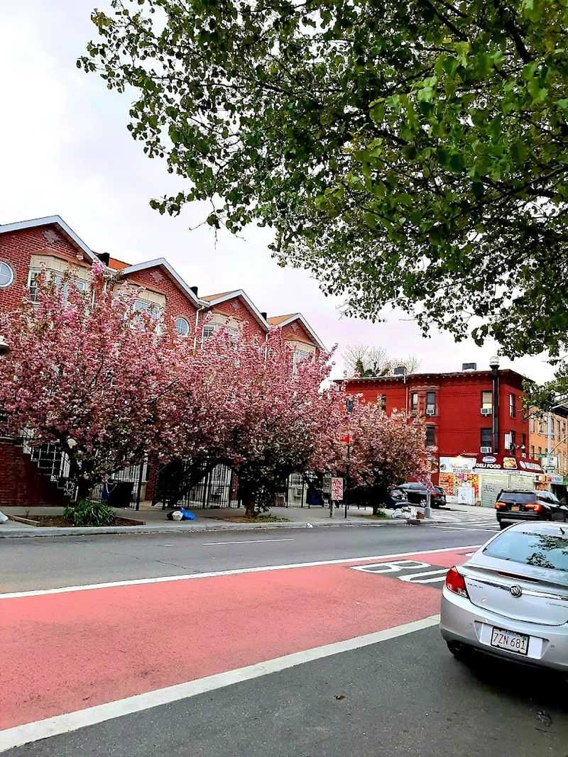 This 2026 List Reveals 16 Georgia Cities Where $1,200 A Month Covers Retirement - Decor Hint Madison