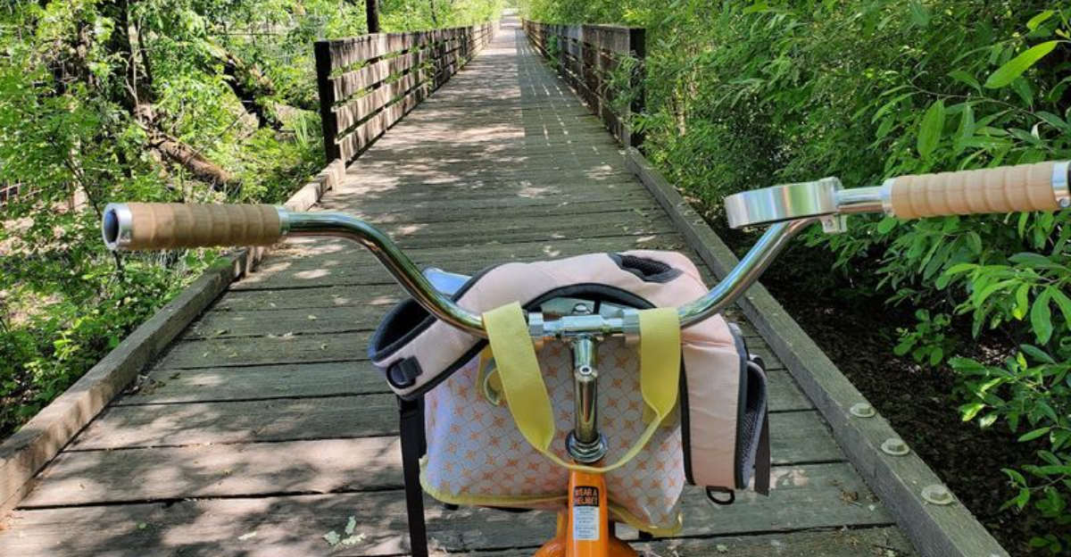 This 5.5 Mile Northern California Bike Trail Cuts Through Vineyards And Redwood Groves - Decor Hint