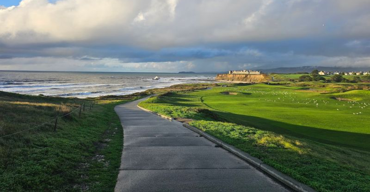 This 6 Mile Scenic Coastal Trail In Half Moon Bay Is One Of Californias Best Spring Walks - Decor Hint