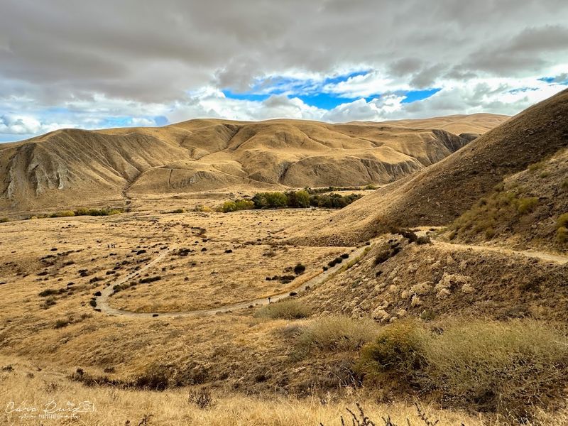 Ecological Diversity Across Dramatic Elevations