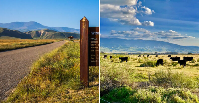 This 93,000-Acre California Preserve Feels Like Driving Through A Real-Life Screensaver