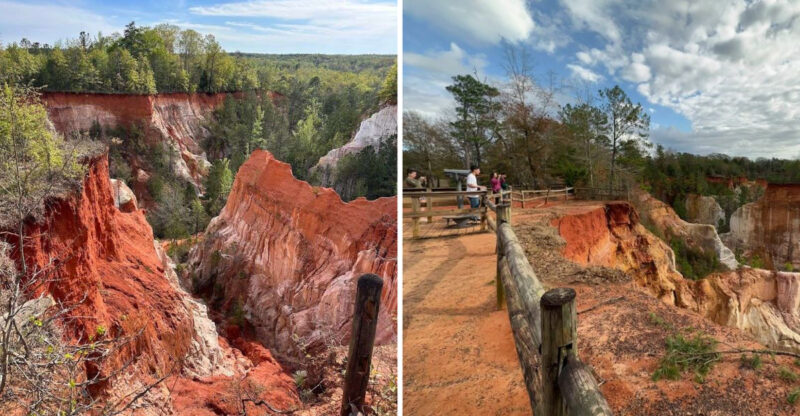 This Breathtaking Natural Wonder Providence Canyon State Park Georgia Is A 2026 Must-Visit