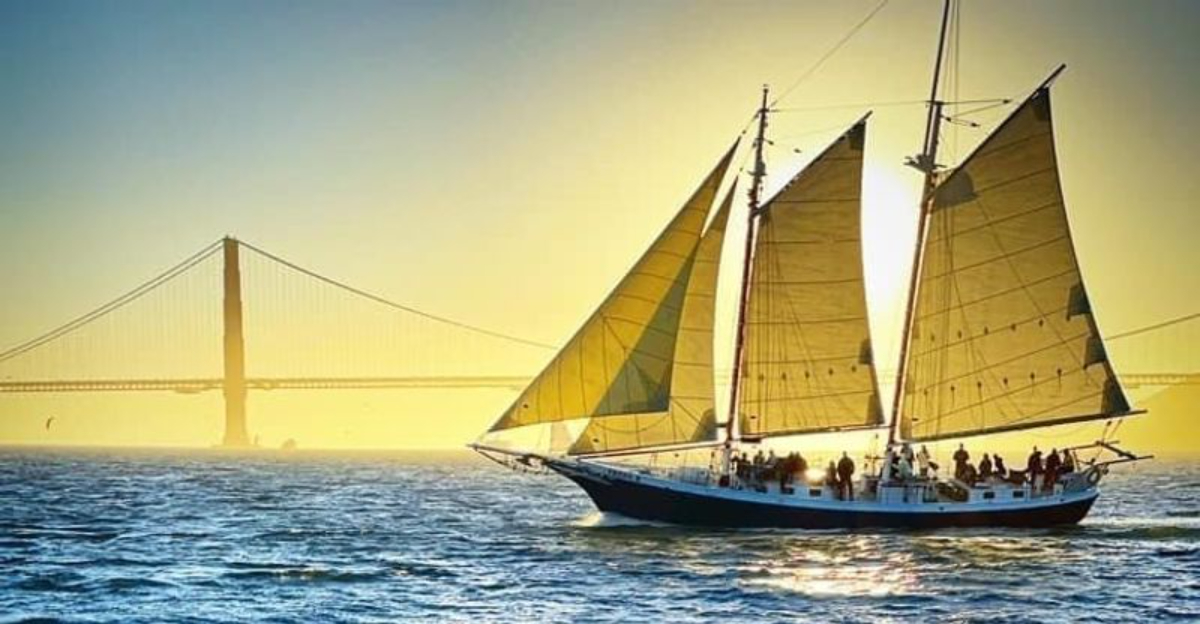 This California Bay Cruise Is The Most Inspiring Way To Celebrate International Womens Day - Decor Hint