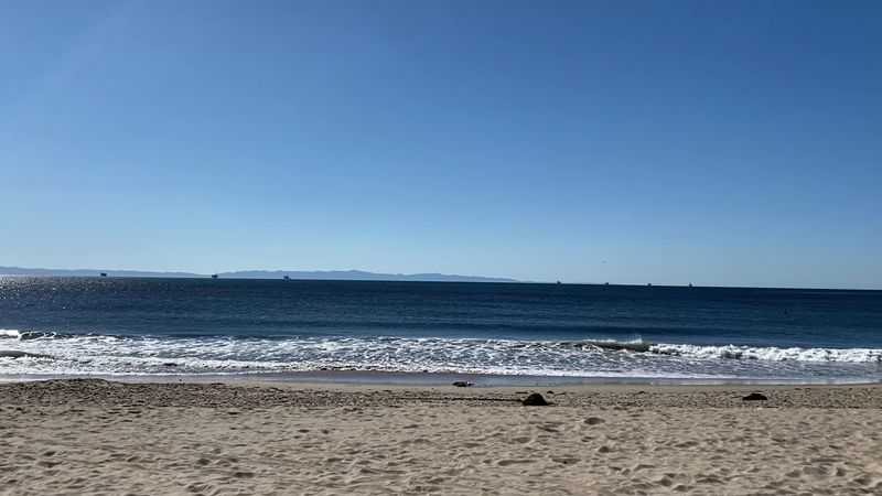 The World's Safest Beach Title