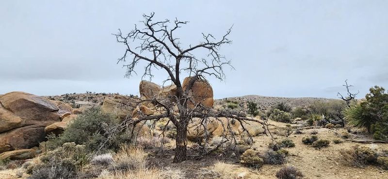 A Gold Mine With Deep Historical Roots