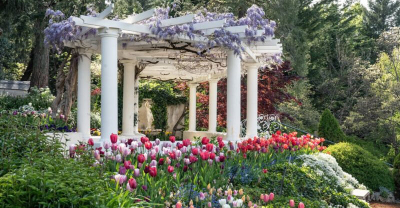 This California Tulip Garden Looks Like A Rainbow You Can Stroll Through