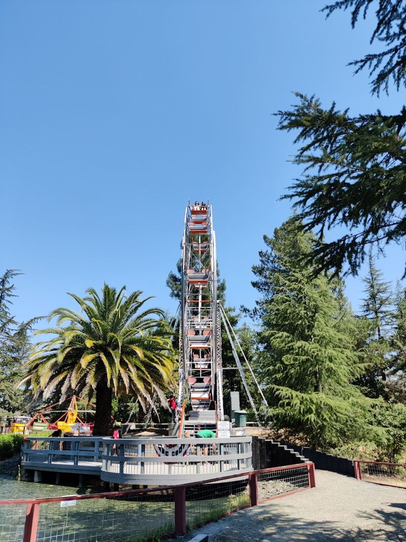 The Location And How To Get There