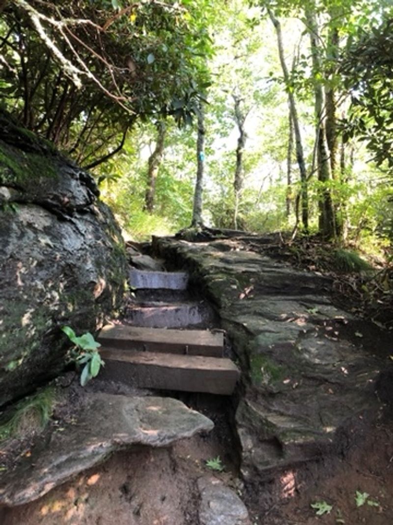 Planning The Visit Is Easy If You Know A Few Things