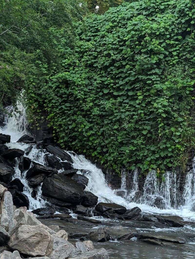 Historic Mill Ruins That Tell a Forgotten Story