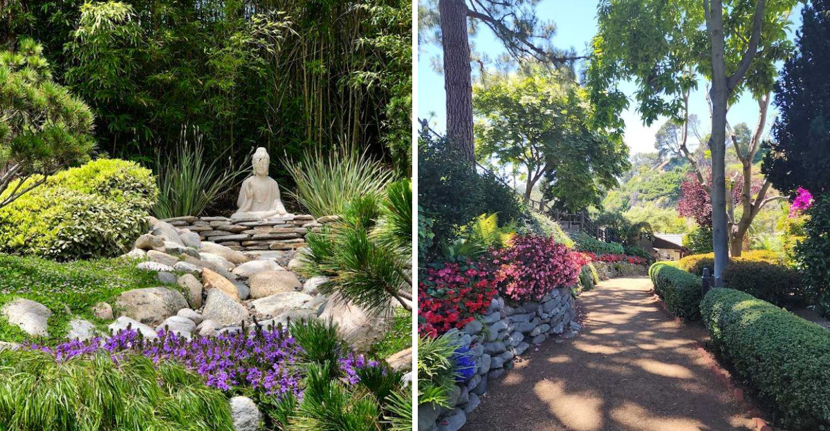 This Hidden Peaceful Garden In Los Angeles California Feels A World Away From The City - Decor Hint