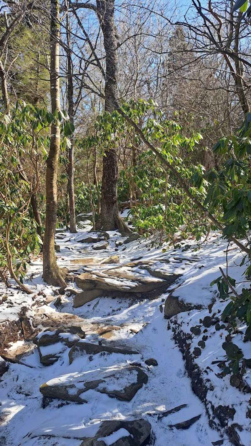 Why Families and Casual Hikers Like This Trail
