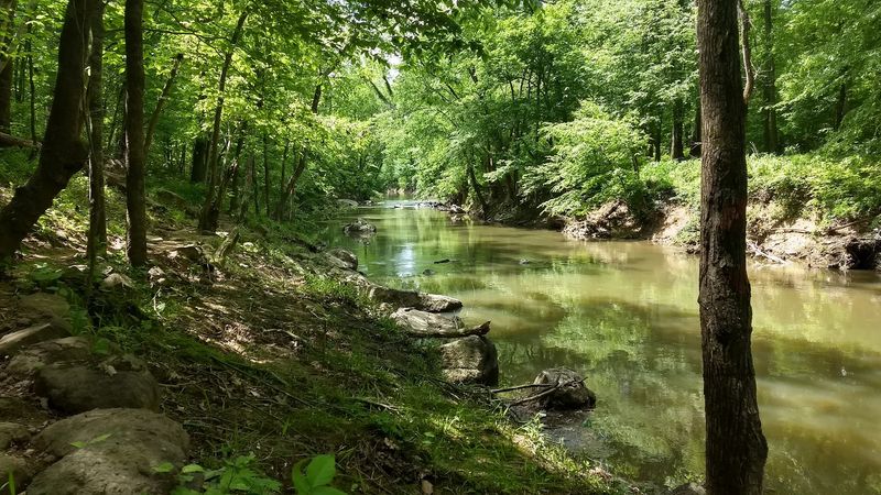 A Nature Preserve Unlike Any Other In The Triangle