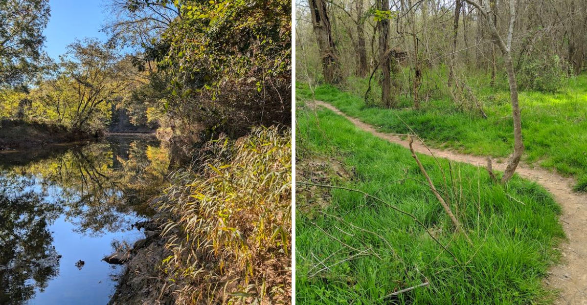 This Quiet North Carolina Destination Is A Haven For Native Plant Lovers - Decor Hint