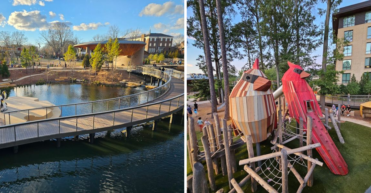 This Seven Acre North Carolina Park Was Built For Everyone And It Shows - Decor Hint