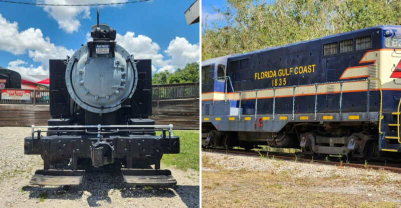 This Slow Train Ride In Florida Might Be The Most Relaxing Way To See The State
