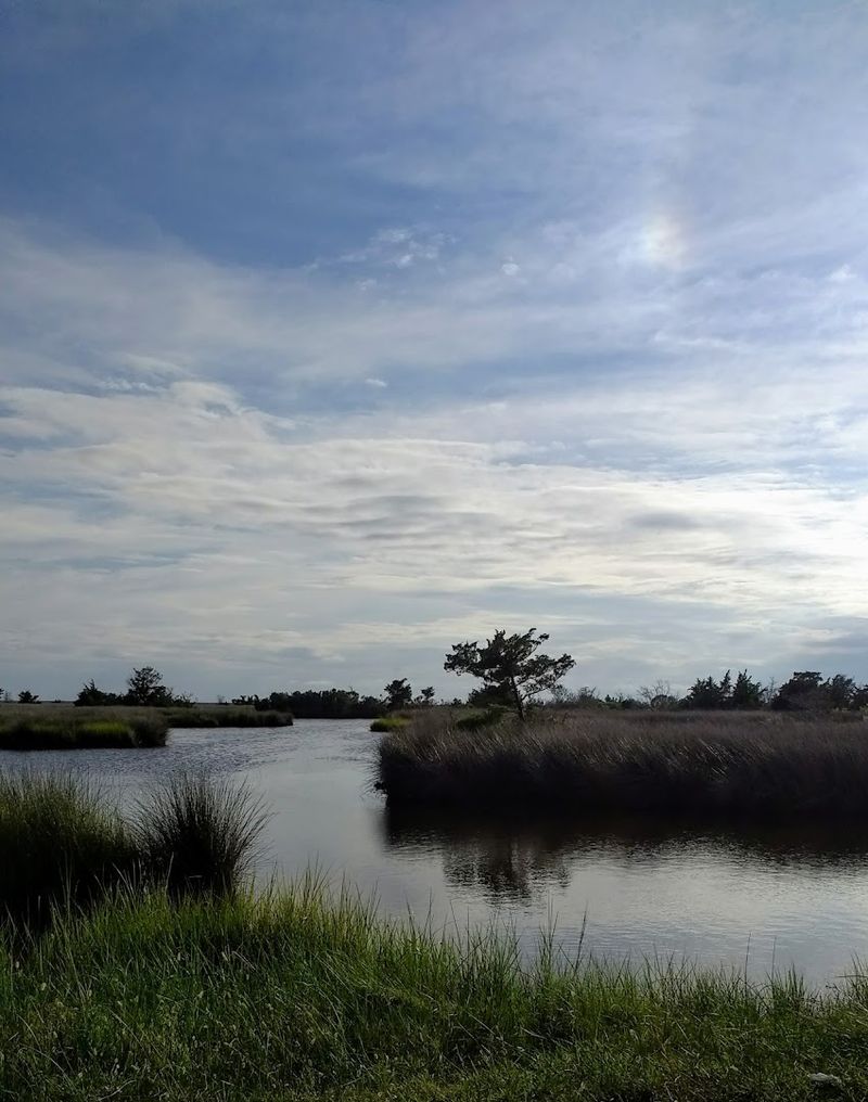 A Name Rooted In Native American History