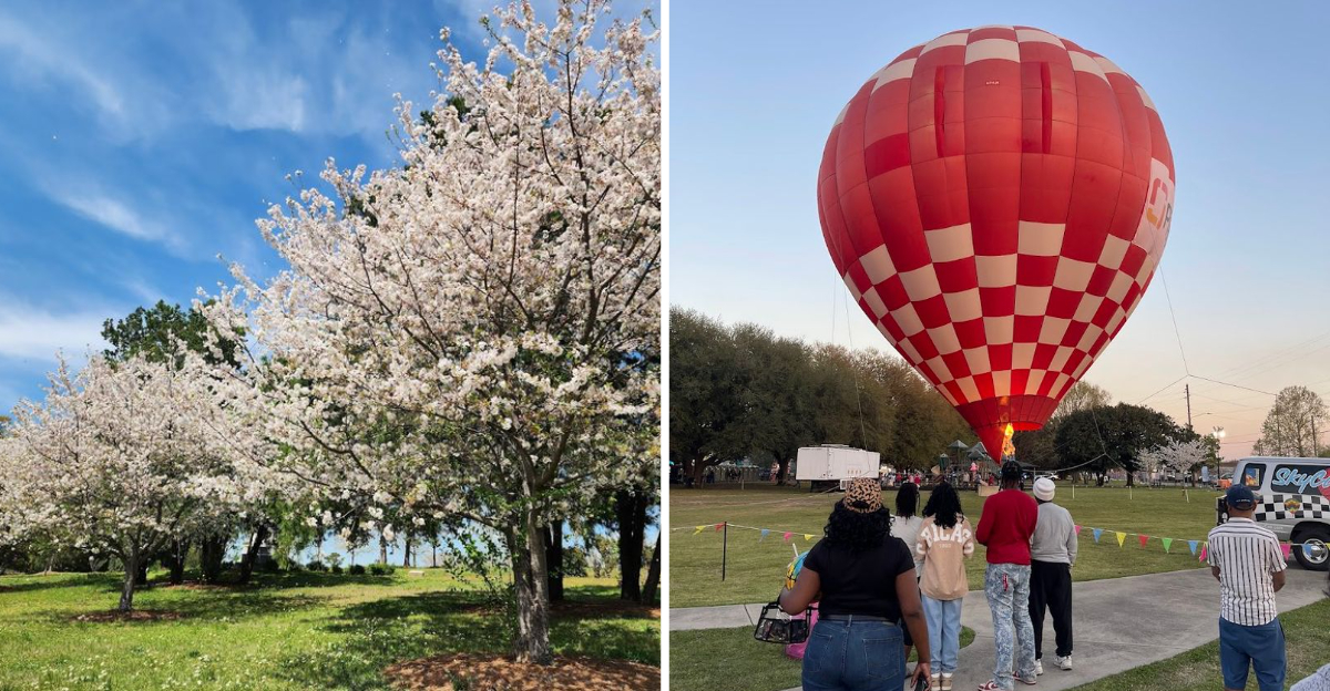 This Spring Cherry Blossom Festival In Macon Georgia Is So Surreal Youll Think Youre In A Dream - Decor Hint