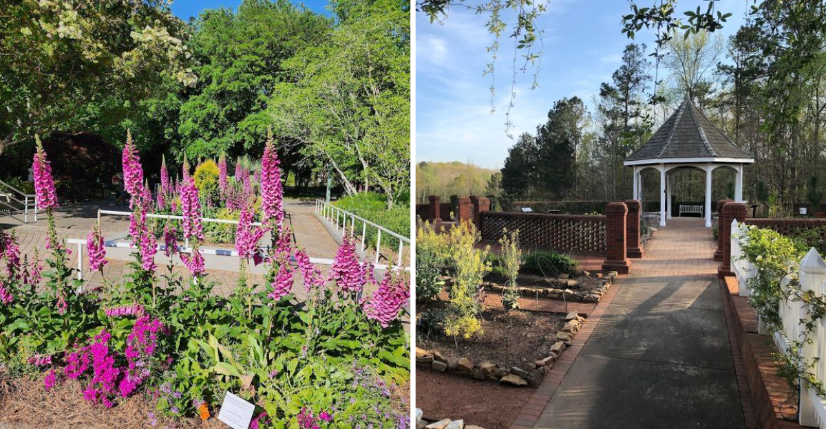 This Spring Guide To Georgias Wildflower Meadows Is Worth Saving For 2026 - Decor Hint