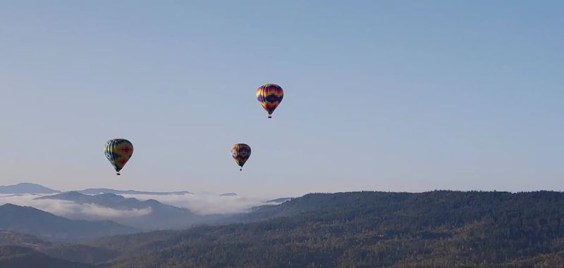 A Legacy That Started In 1975