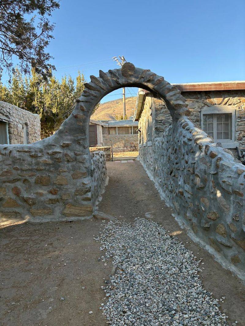 Hedren And The ROAR Foundation