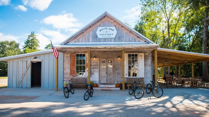 This Unassuming Georgia Farm Is Quietly Driving A Revolution In American Agriculture - Decor Hint Diverse Livestock Across Ten Species
