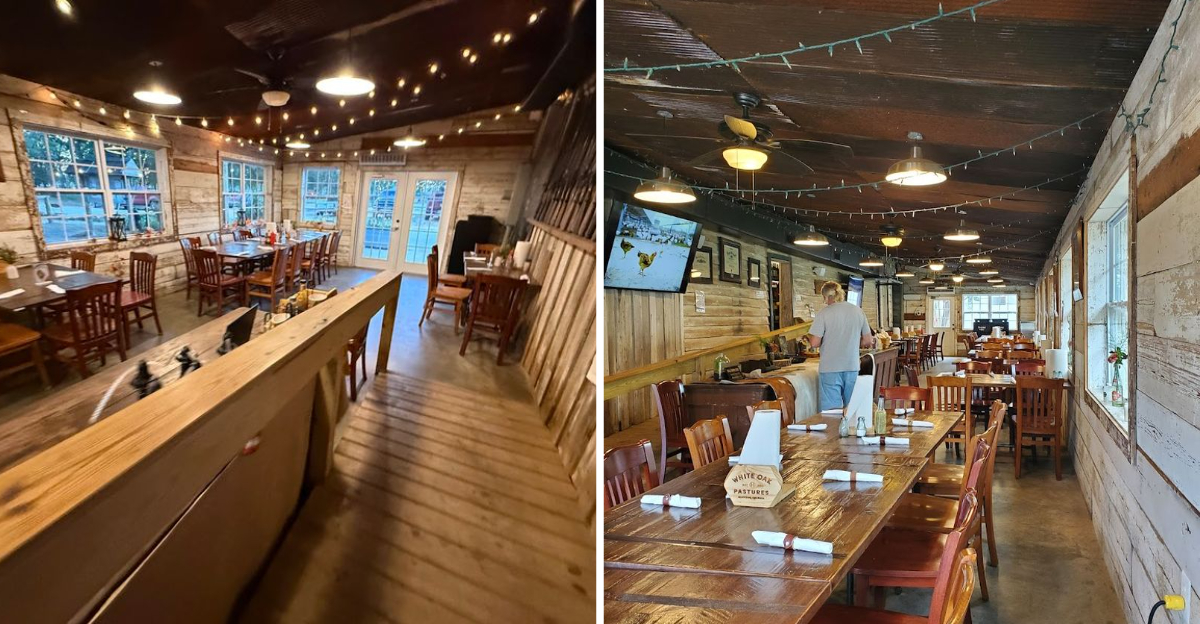 This Unassuming Georgia Farm Is Quietly Driving A Revolution In American Agriculture - Decor Hint