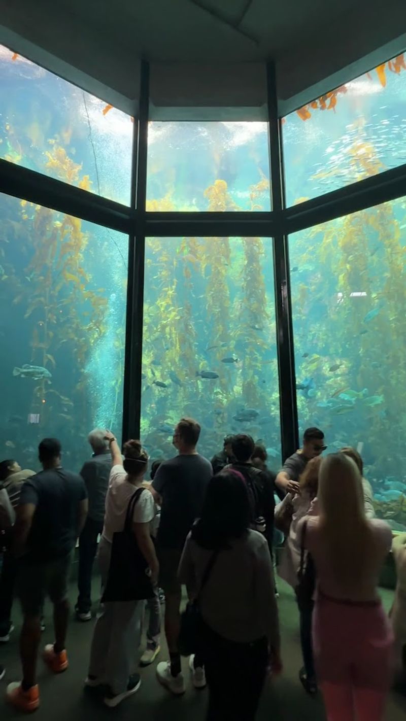 A Structure That Reaches Nearly Three Stories High