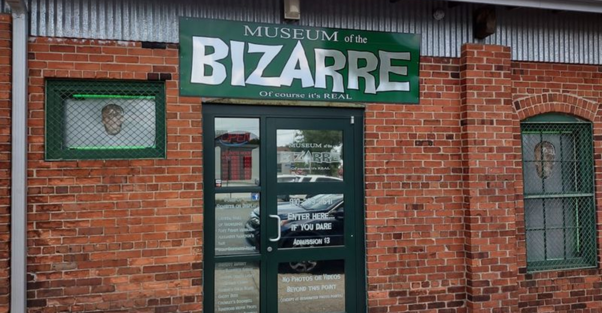 This Unique North Carolina Museum Alone Is Definitely Worth Your Next Trip 4 - Decor Hint