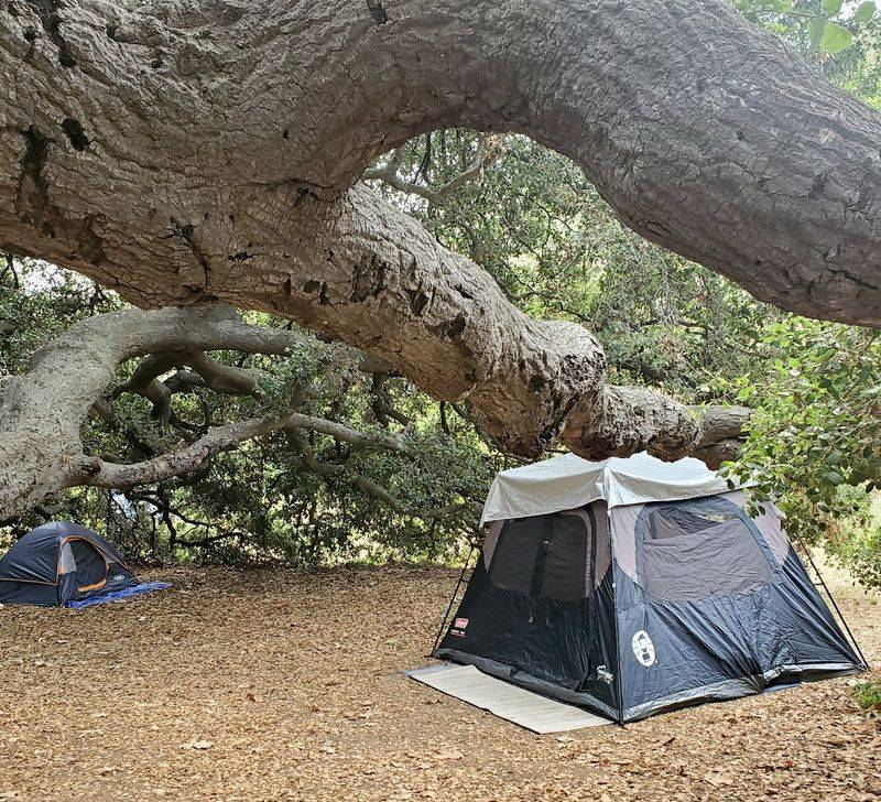 Leo Carrillo State Park Campground, Malibu