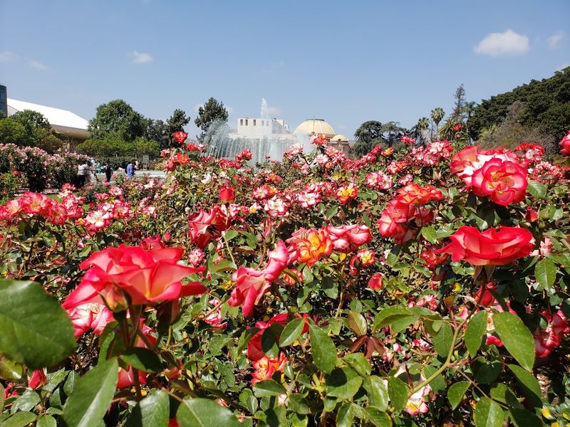 Open Daily From 9 AM And Free To Enter