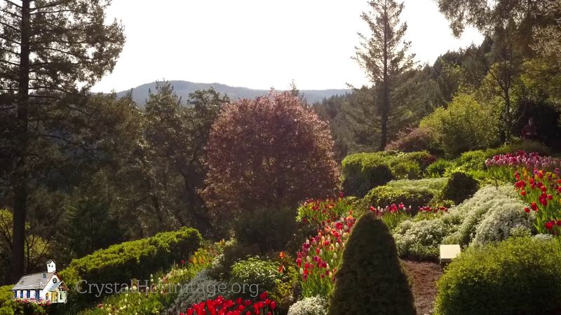 Accessibility Considerations For Visitors