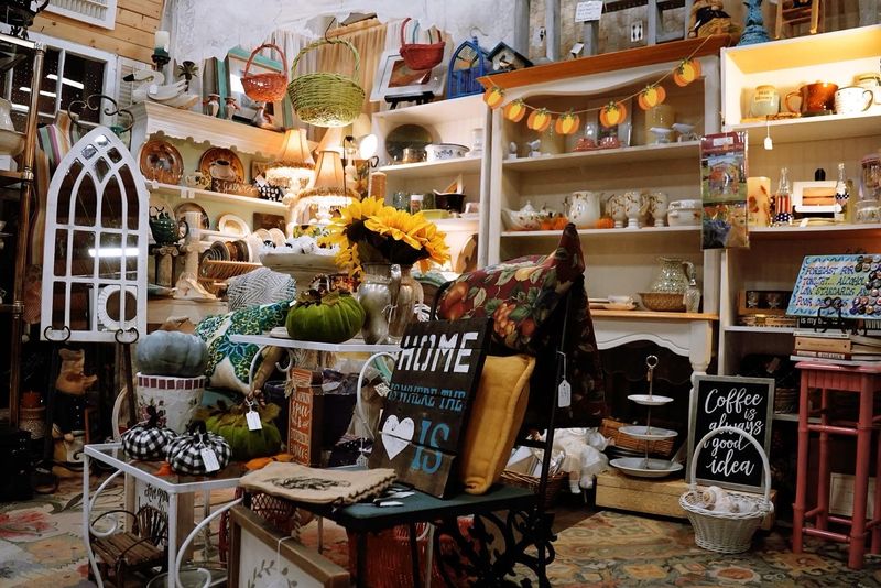 Every Shelf Feels Like A New Discovery