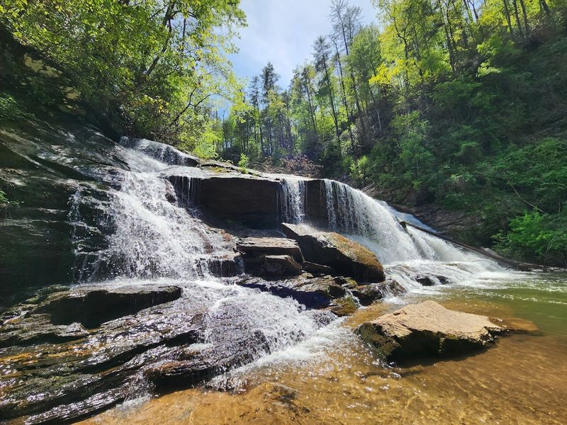 Panther Creek Falls Trail