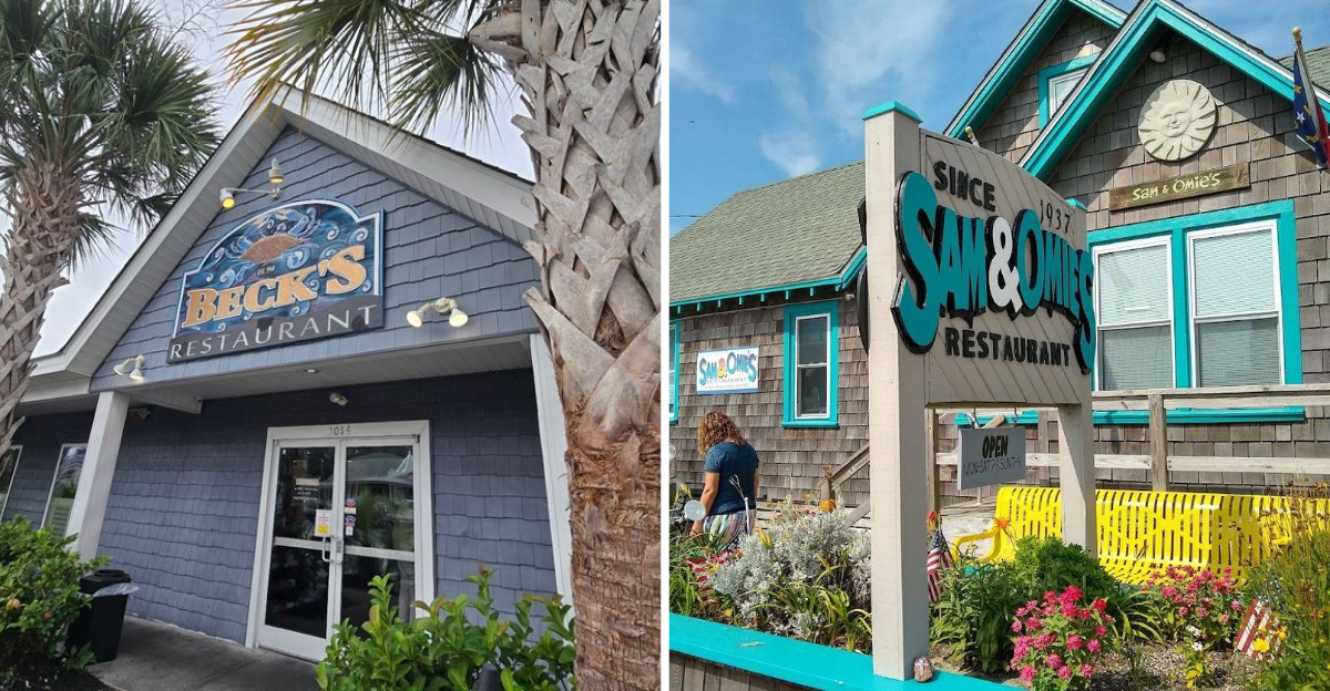 Top 9 North Carolina Seafood Spots You Cant Miss - Decor Hint