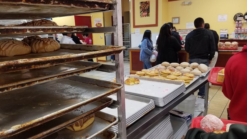 Panaderia Y Tortilleria Artesanal, Raleigh