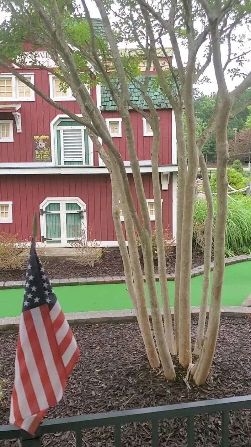 Artisan Arts and Crafts Market During Special Events