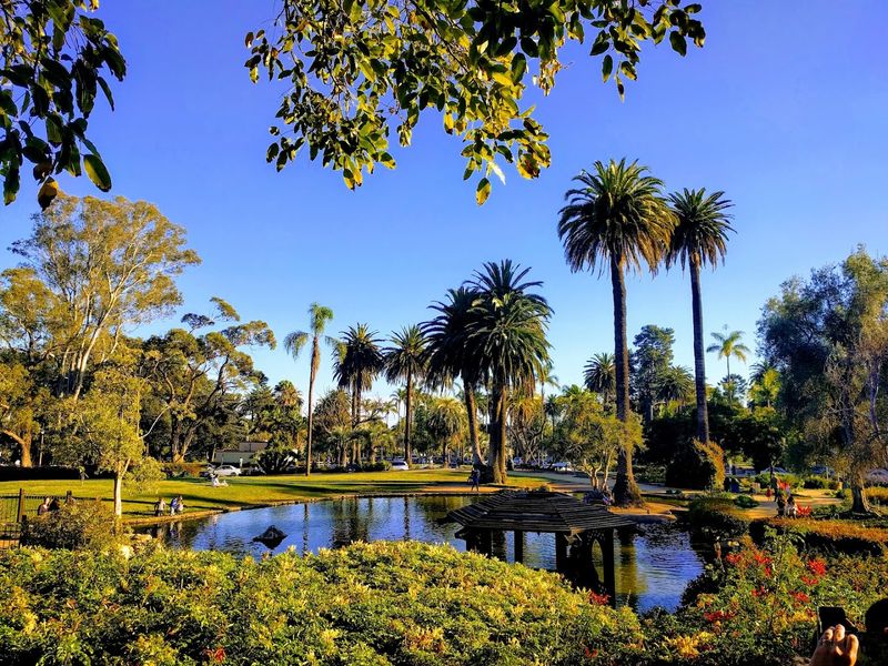 Alice Keck Park Memorial Garden Is Just Across The Street