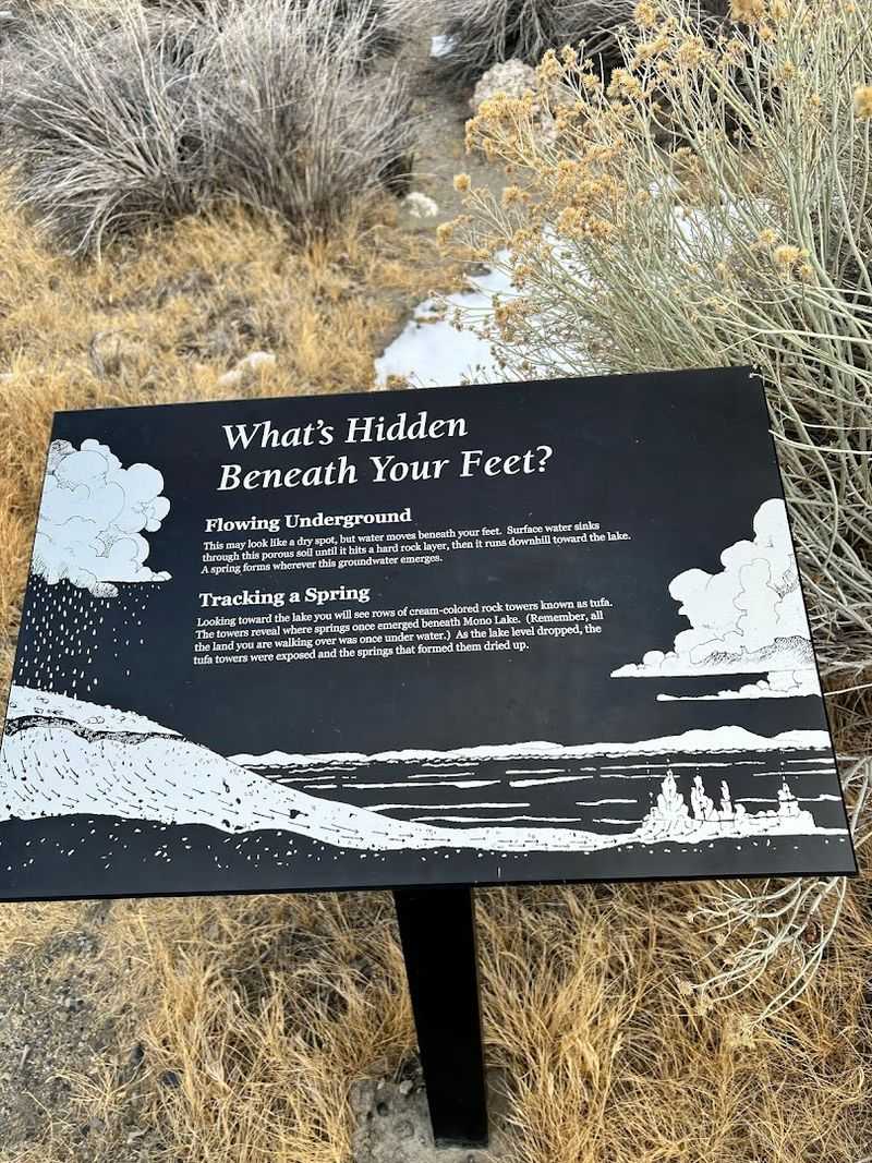 Interpretive Signage