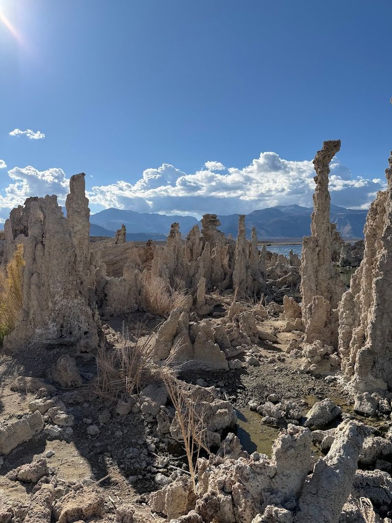 Prohibited Activities