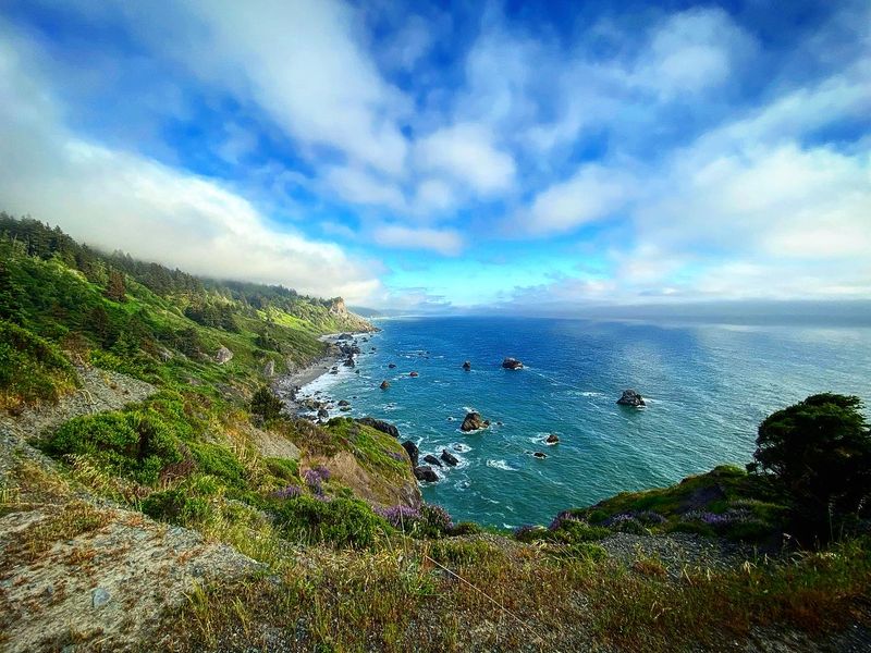 The Coastal Trail Route From Klamath Overlook